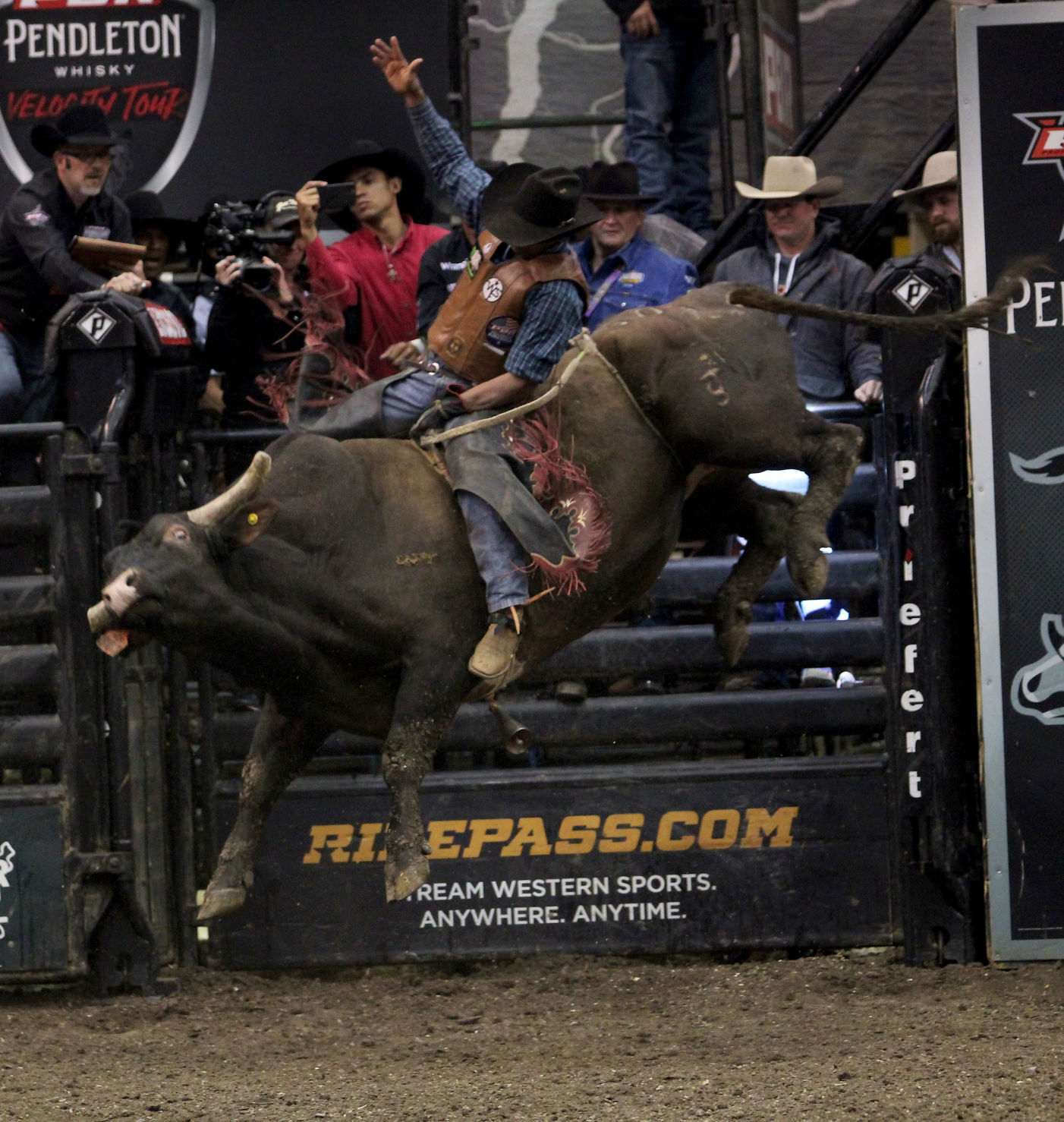 PBR 14.jpg